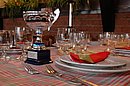 DSC_0800.jpg