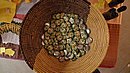 P1010167.JPG