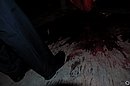 DSC_2276_2.jpg
