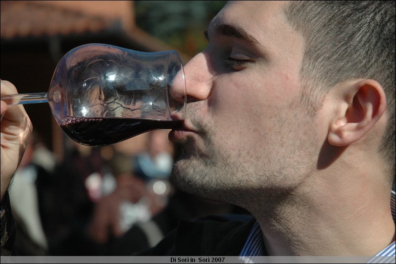 DSC_2950.JPG