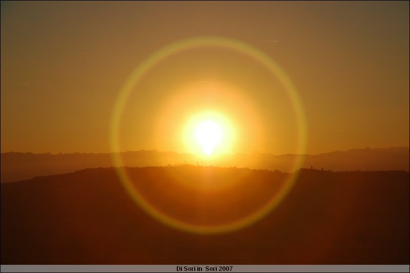 DSC_3229.JPG