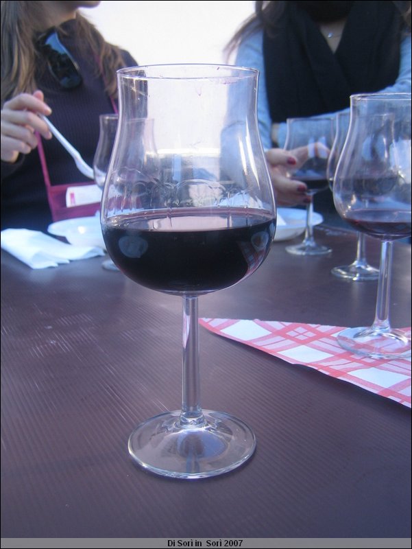 OttObrE 2007 066.jpg