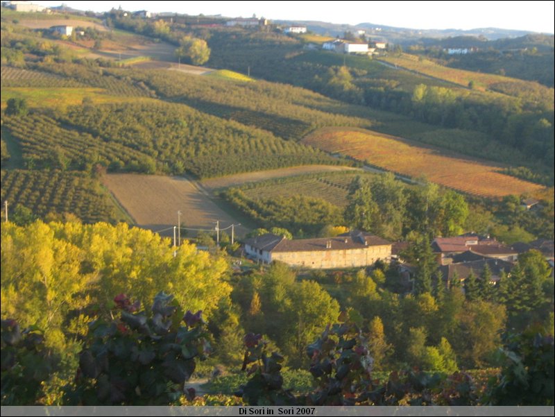 OttObrE 2007 106.jpg