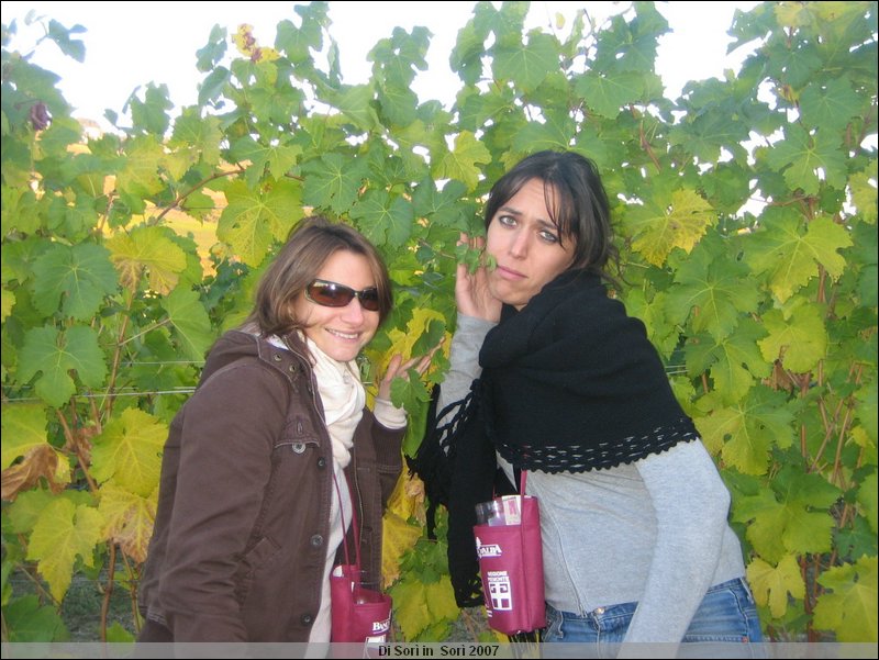 OttObrE 2007 108.jpg