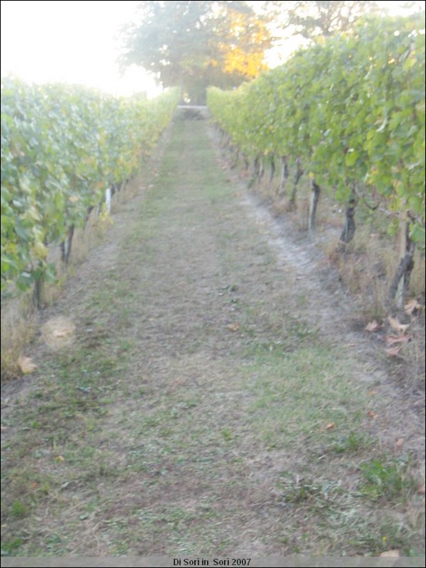 OttObrE 2007 112.jpg