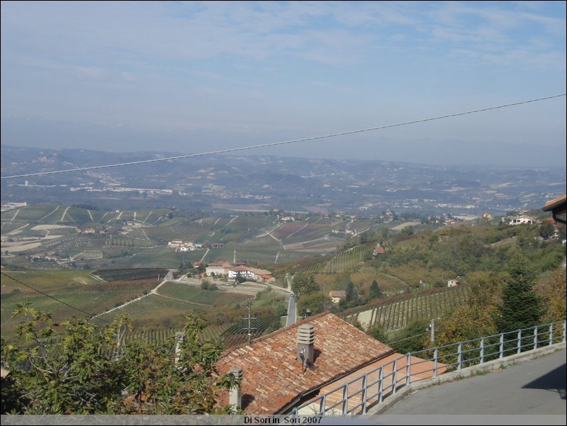 PA210229.JPG