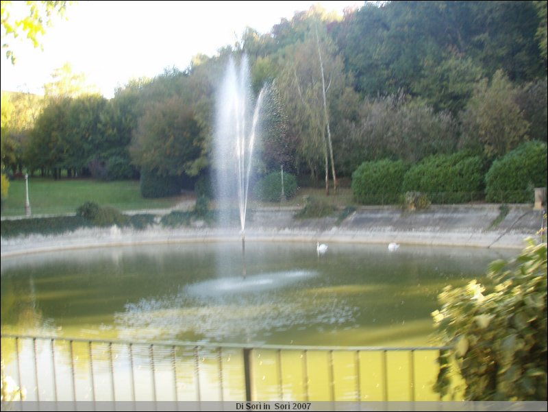 PA210249.JPG