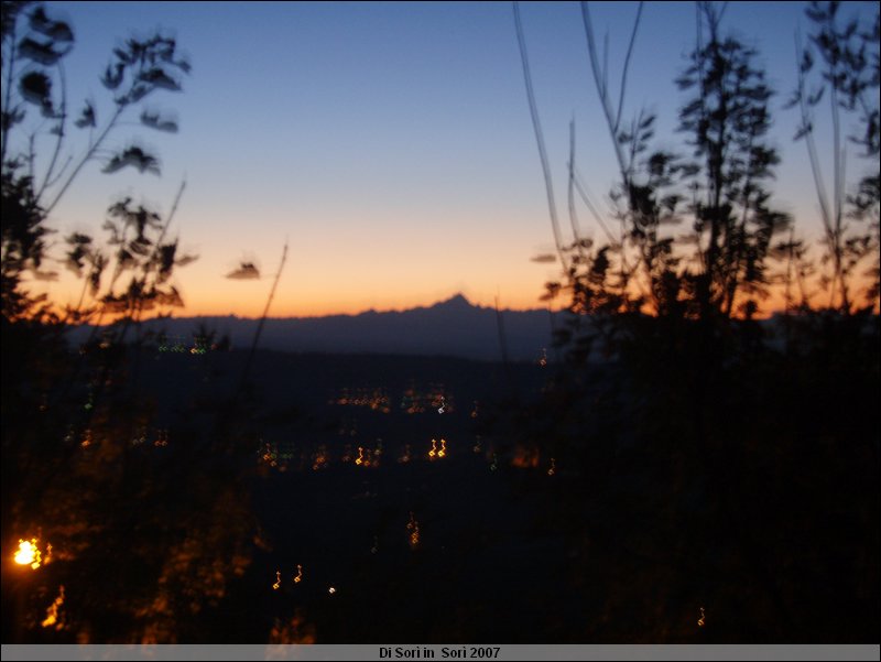 PA210255.JPG