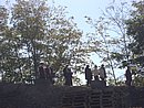 CIMG2356.JPG