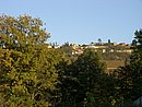 CIMG2385.JPG