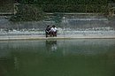 DSC_3181.JPG