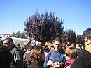 OttObrE 2007 036.jpg