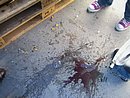 OttObrE 2007 083.jpg