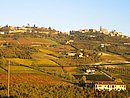 OttObrE 2007 103.jpg