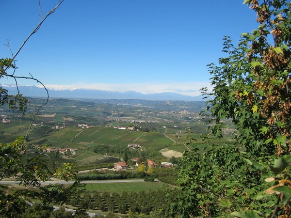 0008_IMG_1409.JPG