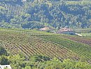 0016_IMG_1423.JPG