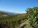 0024_IMG_1433.JPG