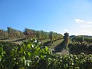 0026_IMG_1435.JPG