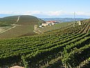 0032_IMG_1441.JPG