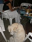CIMG3407.JPG