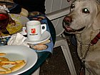 DSC04515.JPG