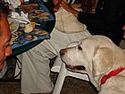 DSC04516.JPG