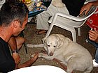 DSC04517.JPG