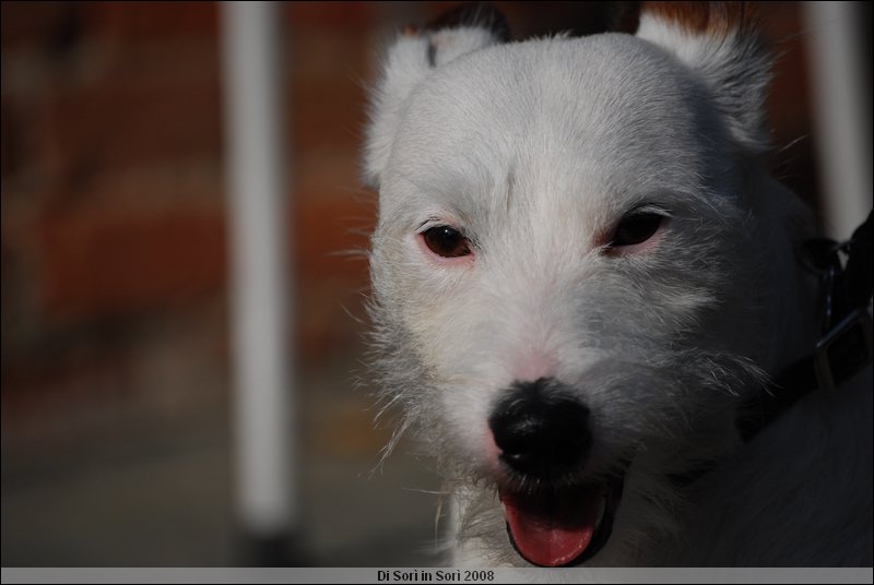 DSC_1367.JPG