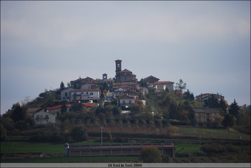 DSC_1410.JPG