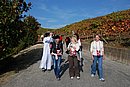 DSC_0343.JPG