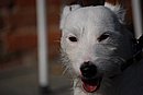 DSC_1367.JPG
