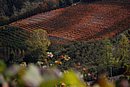 DSC_1414.JPG