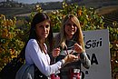 DSC_1441.JPG