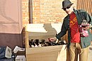 DSC_3660.JPG