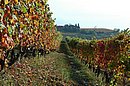 DSC_4424.JPG
