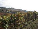 IMG_0168.JPG