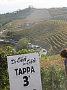IMG_0172.JPG