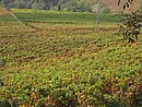 IMG_0187.JPG