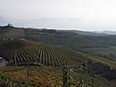 IMG_0188.JPG