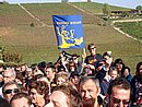 DSC01373.JPG