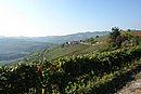 DSC06375.JPG