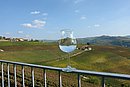 DSC06448.JPG