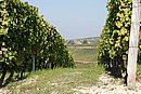 DSC_0035.JPG