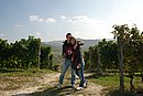 DSC_0085.JPG
