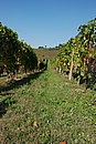 DSC_0088.JPG
