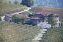 DSC_0191.JPG