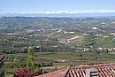 P1000966.JPG