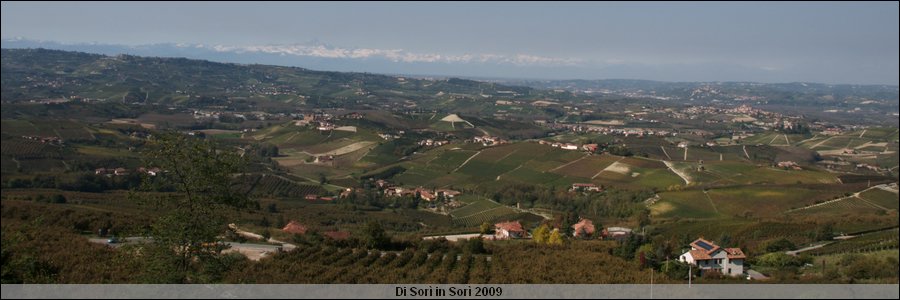 DSC_4283.jpg