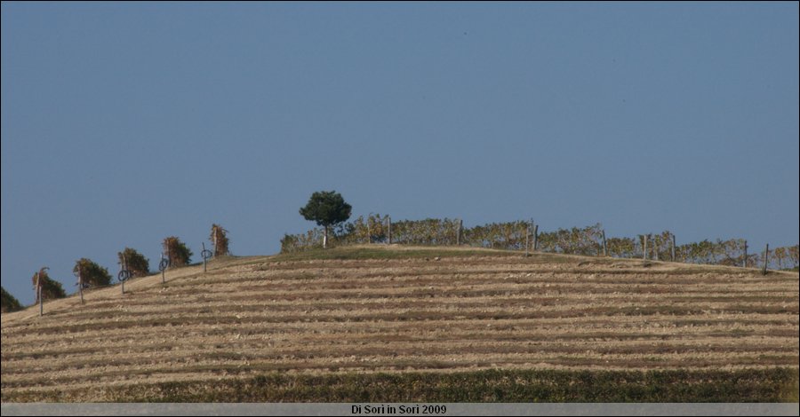 DSC_4325.jpg