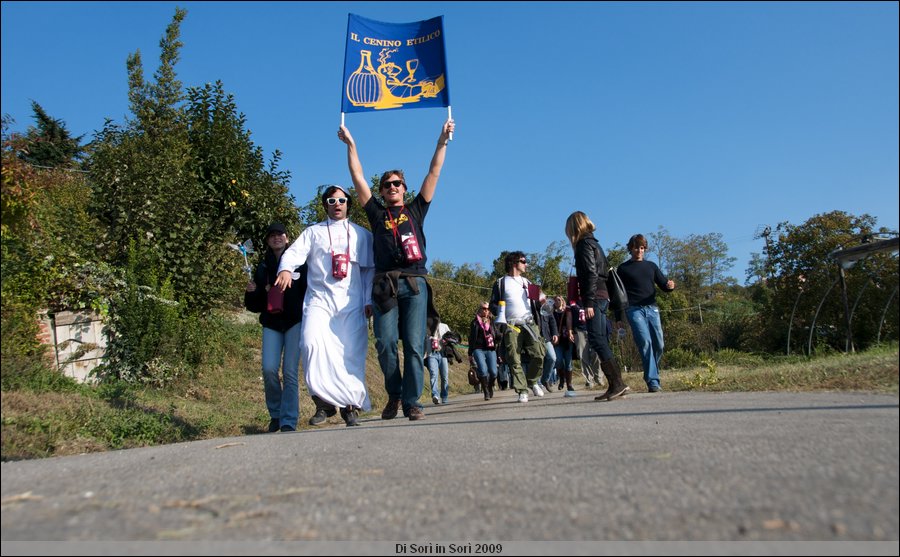 DSC_4384.jpg